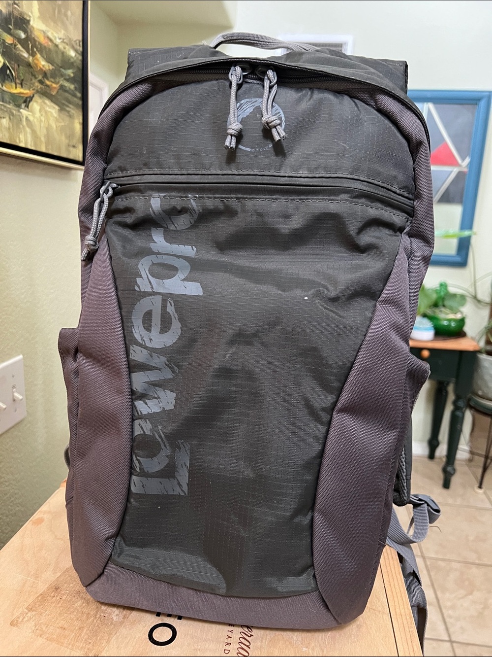Lowepro Black Camera/Daypack Backpack pre owned.